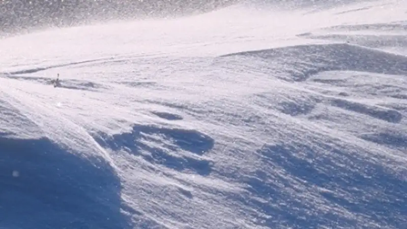 29 января практически на всей территории Казахстана ожидаются осадки, туман, гололед