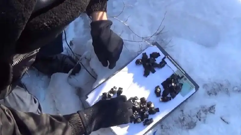 В Актобе задержан участник транснациональной ОПГ