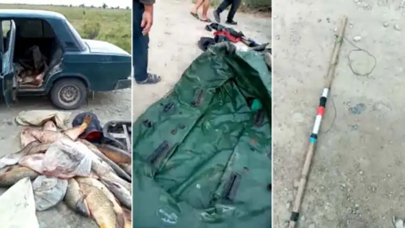 Браконьеры наловили 100 кг рыбы электроудочкой в Алматинской области