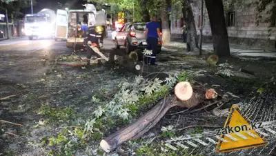 zakon.kz, фото - Новости Zakon.kz от 03.08.2019 00:18