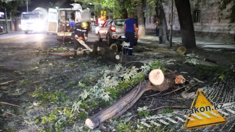 Часть дерева упала на Renault в Алматы и проломила крышу