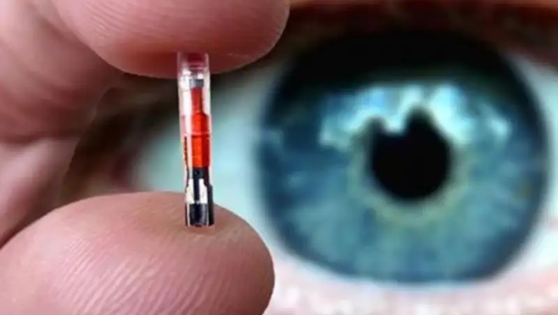 Чипирование людей: очередной фейк распространяли в WhatsApp