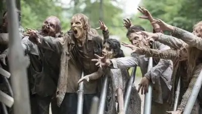 Фото: кадр из т/с "Ходячие Мертвецы", фото - Новости Zakon.kz от 25.12.2017 17:52