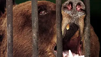 Zakon.kz, фото - Новости Zakon.kz от 12.01.2016 00:17