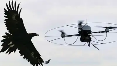 Zakon.kz, фото - Новости Zakon.kz от 11.03.2016 18:56