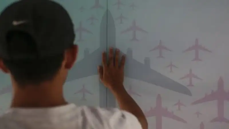 Родственники пассажиров решили искать пропавший MH370 самостоятельно