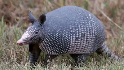 Zakon.kz, фото - Новости Zakon.kz от 05.08.2017 03:26