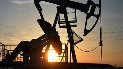 РИА Новости / Максим Богодвид, фото - Новости Zakon.kz от 15.01.2019 01:43