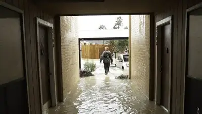 Zakon.kz, фото - Новости Zakon.kz от 31.08.2017 09:24