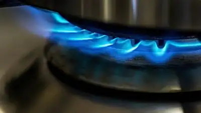 regnum.ru, фото - Новости Zakon.kz от 24.09.2020 16:52