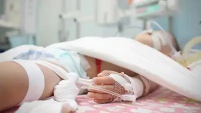 otyrar.kz, фото - Новости Zakon.kz от 29.03.2018 11:22