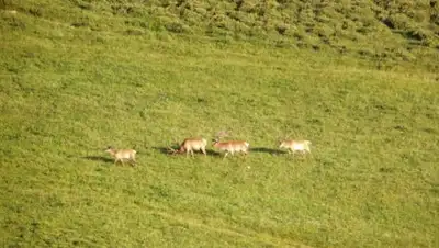 Zakon.kz, фото - Новости Zakon.kz от 19.07.2017 15:43