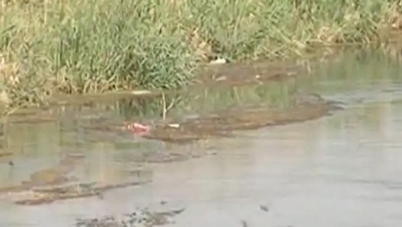 Жители десятков аулов Сарыагашского района ЮКО пьют воду из открытых источников