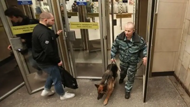 В петербургском метро нашли гранату с запалом и следами тротила