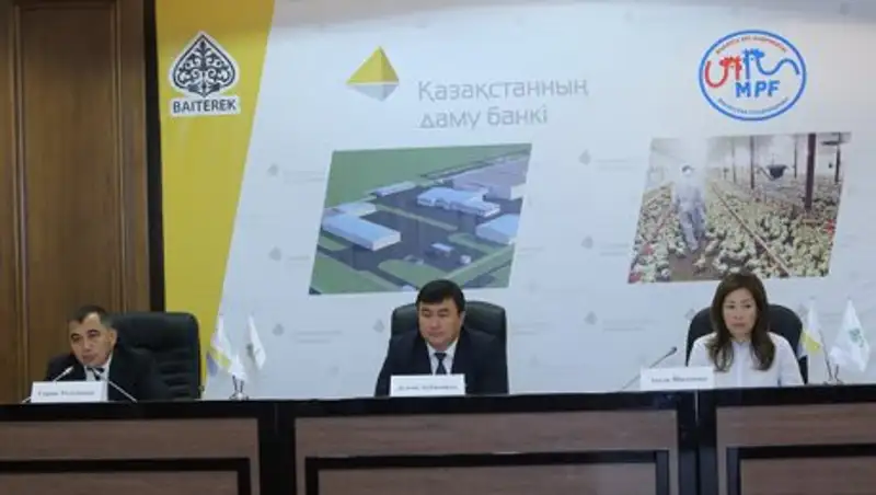 В Акмолинской области будет построена крупнейшая в Центральной Азии птицефабрика