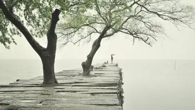 pixabay.com, фото - Новости Zakon.kz от 04.05.2021 16:21