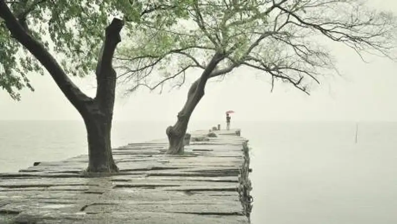 Синоптики рассказали о погоде в Нур-Султане, Алматы и Шымкенте