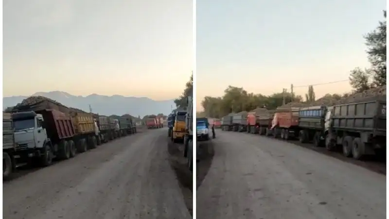 В Жамбылской области директор завода объяснил скопление авто с сахарной свеклой