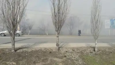 Zakon.kz, фото - Новости Zakon.kz от 17.04.2017 21:38