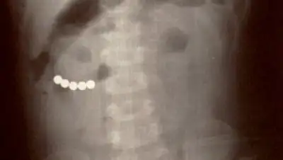 Zakon.kz, фото - Новости Zakon.kz от 02.03.2018 18:23