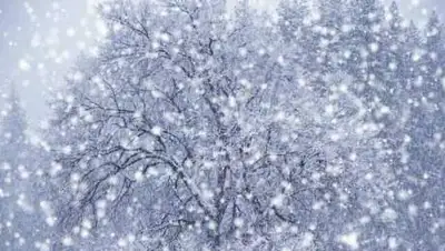 zakon.kz., фото - Новости Zakon.kz от 03.12.2020 06:00