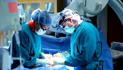 BNews.kz, фото - Новости Zakon.kz от 20.06.2019 15:43