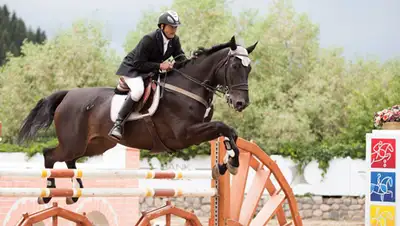 Zakon.kz, фото - Новости Zakon.kz от 08.07.2014 21:35