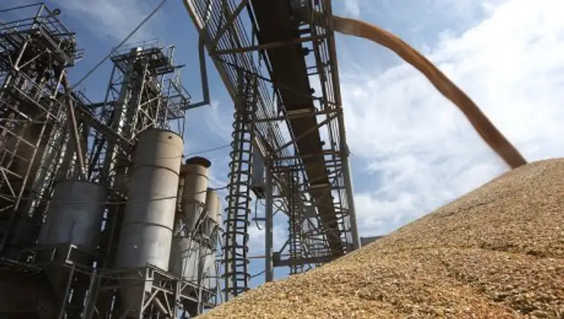 Турция сняла ограничения по пшенице из России