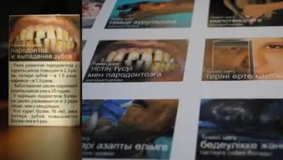 yk-news.kz, фото - Новости Zakon.kz от 06.11.2020 12:20