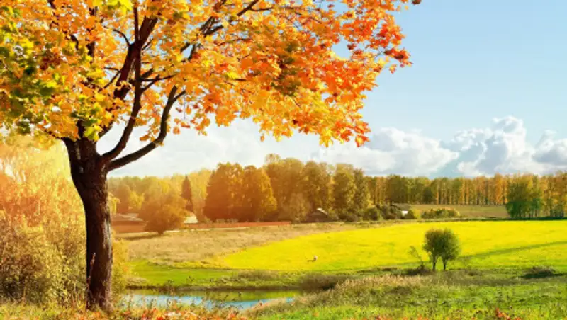 Прогноз погоды в Казахстане на 11 сентября