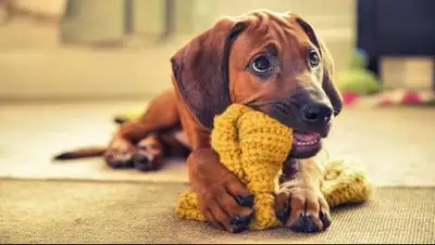 Zakon.kz, фото - Новости Zakon.kz от 04.07.2016 18:47