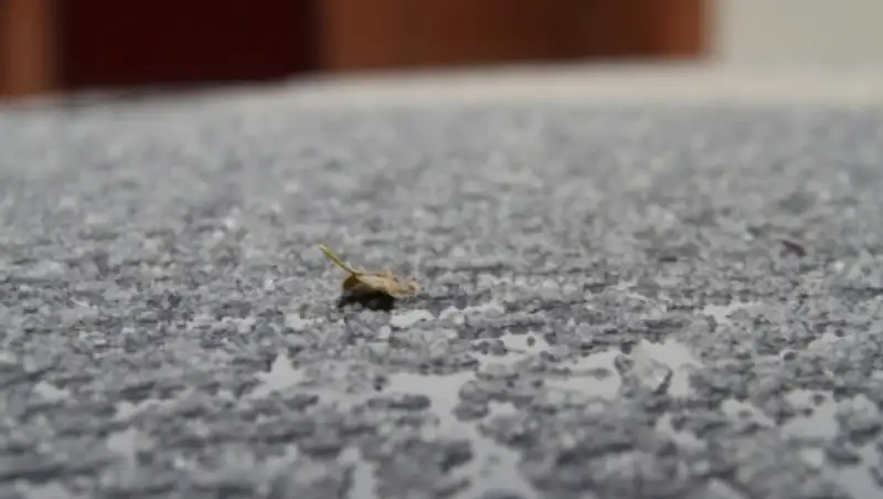 В Усть-Каменогорске прошел град