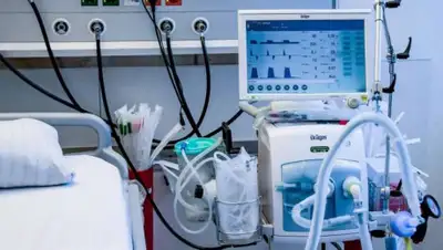 pixabay.com, фото - Новости Zakon.kz от 08.04.2020 18:11