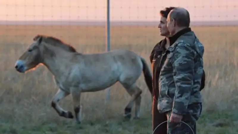 Лошади Пржевальского побежали за квадроциклом Путина