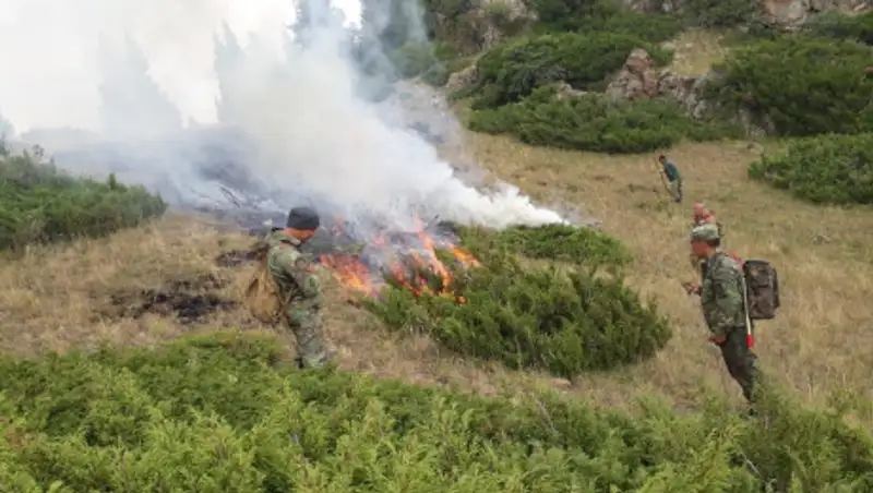 Обстановка с пожарами в регионах Казахстана остается сложной - КЧС