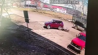 Zakon.kz, фото - Новости Zakon.kz от 12.05.2017 05:30