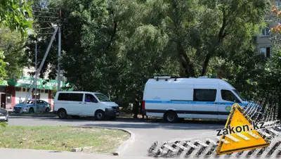 zakon.kz, фото - Новости Zakon.kz от 04.08.2020 15:00