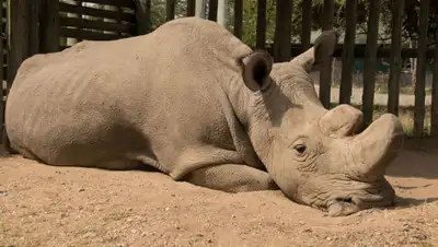 alev.biz, фото - Новости Zakon.kz от 29.06.2019 00:37