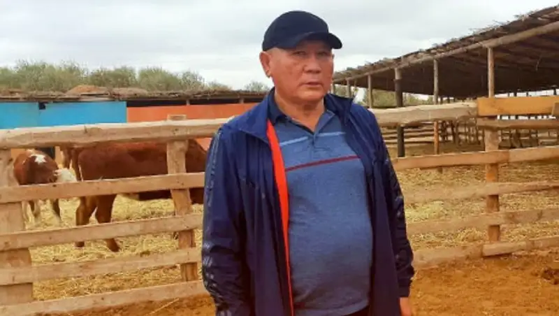 Фермерские хозяйства увеличивают поголовье и улучшают качественные характеристики скота