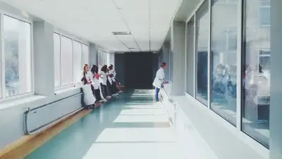 Pixabay, фото - Новости Zakon.kz от 07.09.2020 21:59