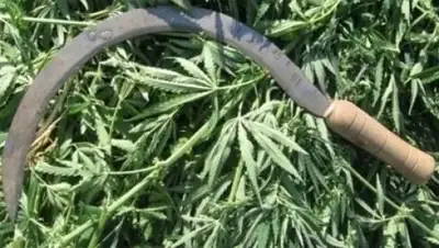 Zakon.kz, фото - Новости Zakon.kz от 28.06.2014 22:53