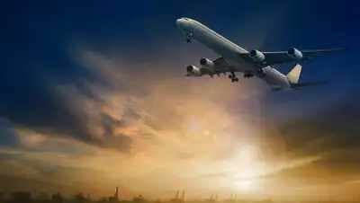 GoodFon, фото - Новости Zakon.kz от 28.10.2020 19:35