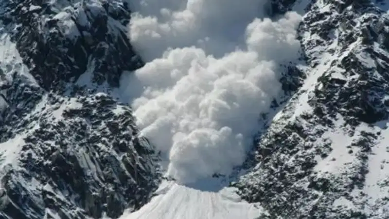 Кто войдет в состав комиссии по расследованию схода лавины в ущелье Коксай