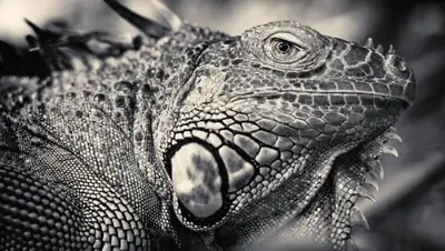 Zakon.kz, фото - Новости Zakon.kz от 14.03.2016 15:44