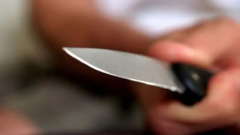 В ВКО пенсионер убил своего сына и пошёл спать