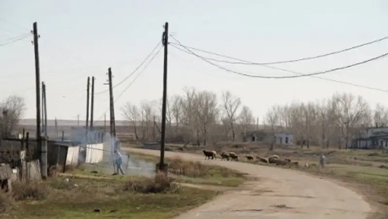 Житель "сонных" Калачей проиграл суд по иску к местным властям