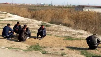 СНЦА, фото - Новости Zakon.kz от 12.10.2020 08:21