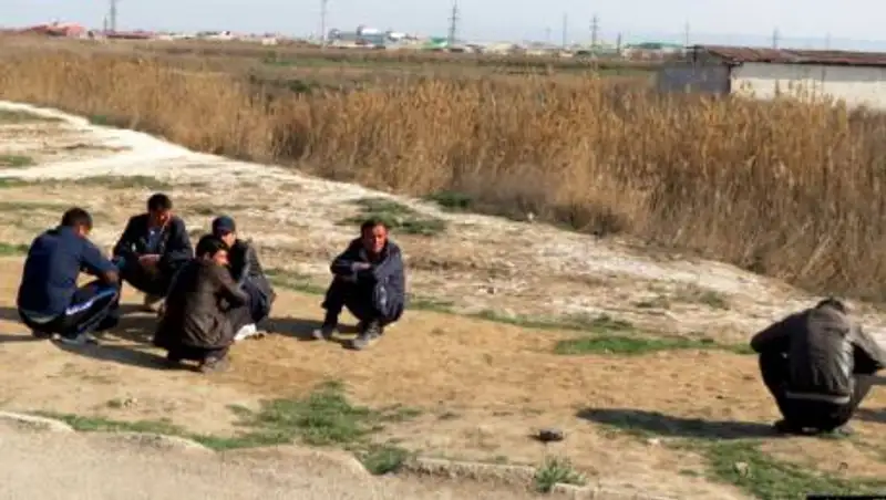 В Туркменистане неплательщиков штрафов заставляют собирать хлопок