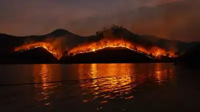 пожар в Канаде, фото - Новости Zakon.kz от 10.06.2023 14:44
