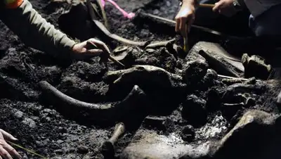 © Helen H. Richardson/The Denver Post via Getty Images, фото - Новости Zakon.kz от 13.08.2018 13:52